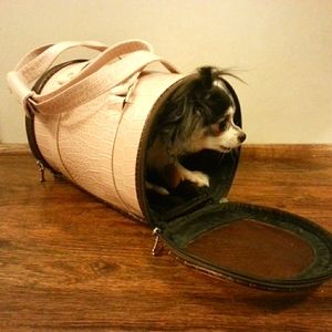 Pet Purse Carrier